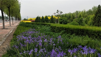 標題：張家口經(jīng)開(kāi)區秋季清水河生態(tài)綠廊建
瀏覽次數：2402
發(fā)表時(shí)間：2020-10-16