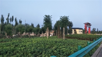 標題：張家口經(jīng)開(kāi)區腰站堡飲用水源地生態(tài)涵養綠化
瀏覽次數：2723
發(fā)表時(shí)間：2020-10-16