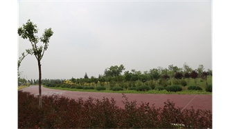 標題：大青山南坡生態(tài)修復
瀏覽次數：2242
發(fā)表時(shí)間：2020-10-16