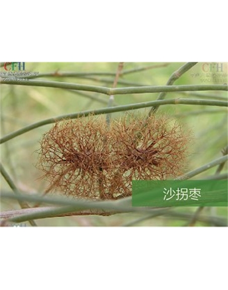 標題：名貴樹(shù)種
瀏覽次數：1702
發(fā)表時(shí)間：2020-10-17
