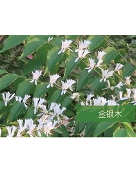 標題：?jiǎn)坦嗄?瀏覽次數：1606
發(fā)表時(shí)間：2020-10-17