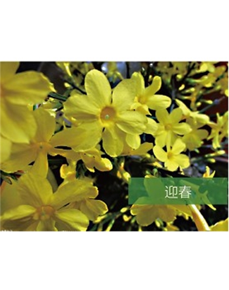 標題：?jiǎn)坦嗄?瀏覽次數：1527
發(fā)表時(shí)間：2020-10-17
