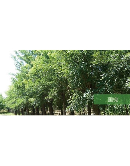 標題：?jiǎn)坦嗄?瀏覽次數：1764
發(fā)表時(shí)間：2020-10-17
