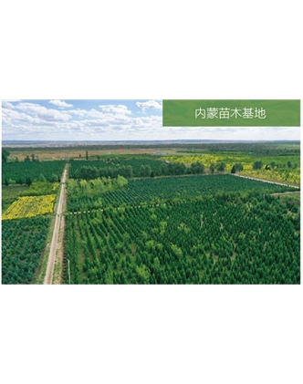 標題：苗木基地
瀏覽次數：2133
發(fā)表時(shí)間：2020-10-17
