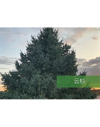 標題：?jiǎn)坦嗄?瀏覽次數：2324
發(fā)表時(shí)間：2020-10-17