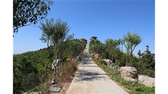 標題：張家口太子山山體修復
瀏覽次數：18582
發(fā)表時(shí)間：2020-11-12